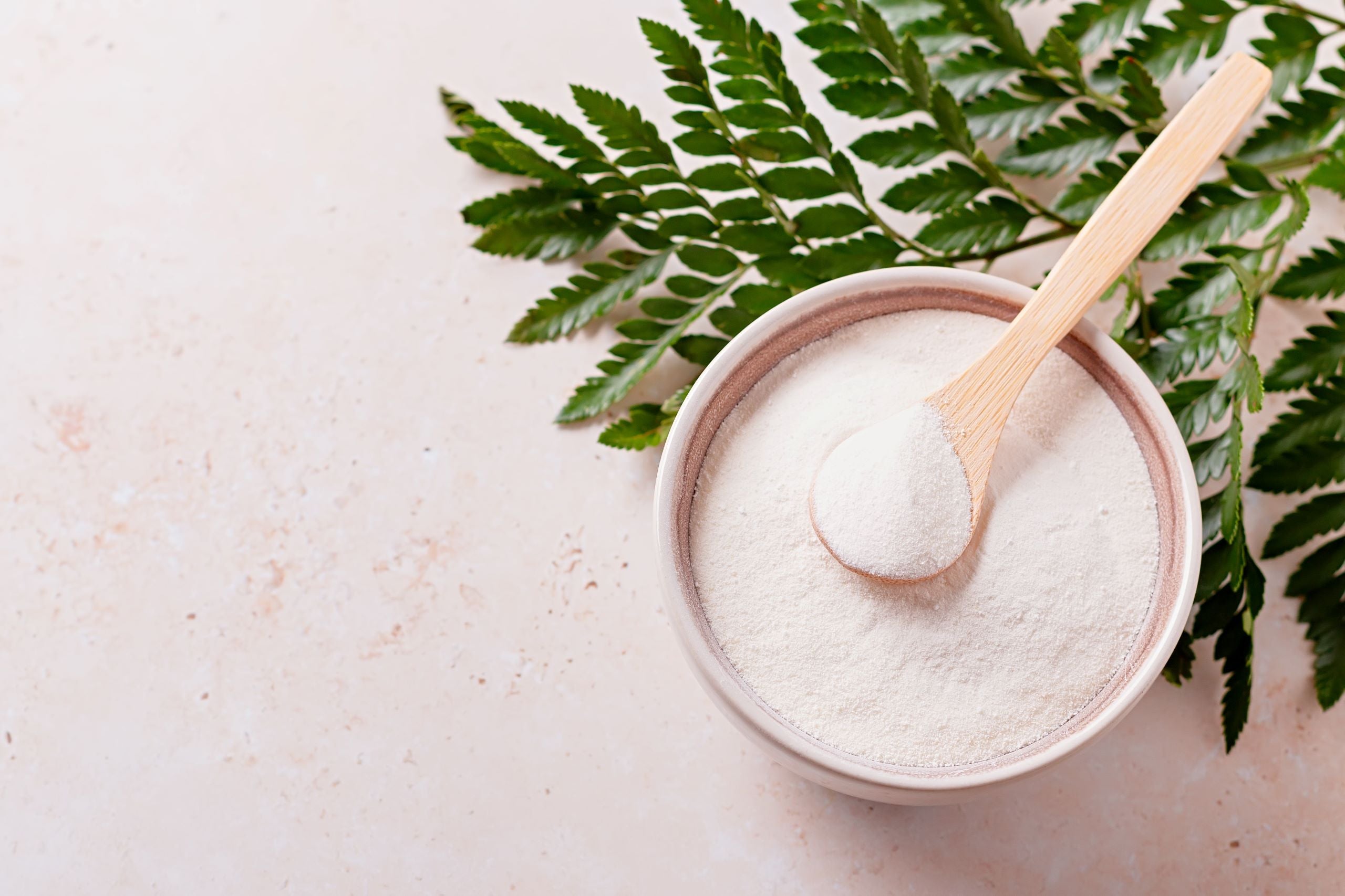 A bowl of collagen powder with a wooden spoon and fern