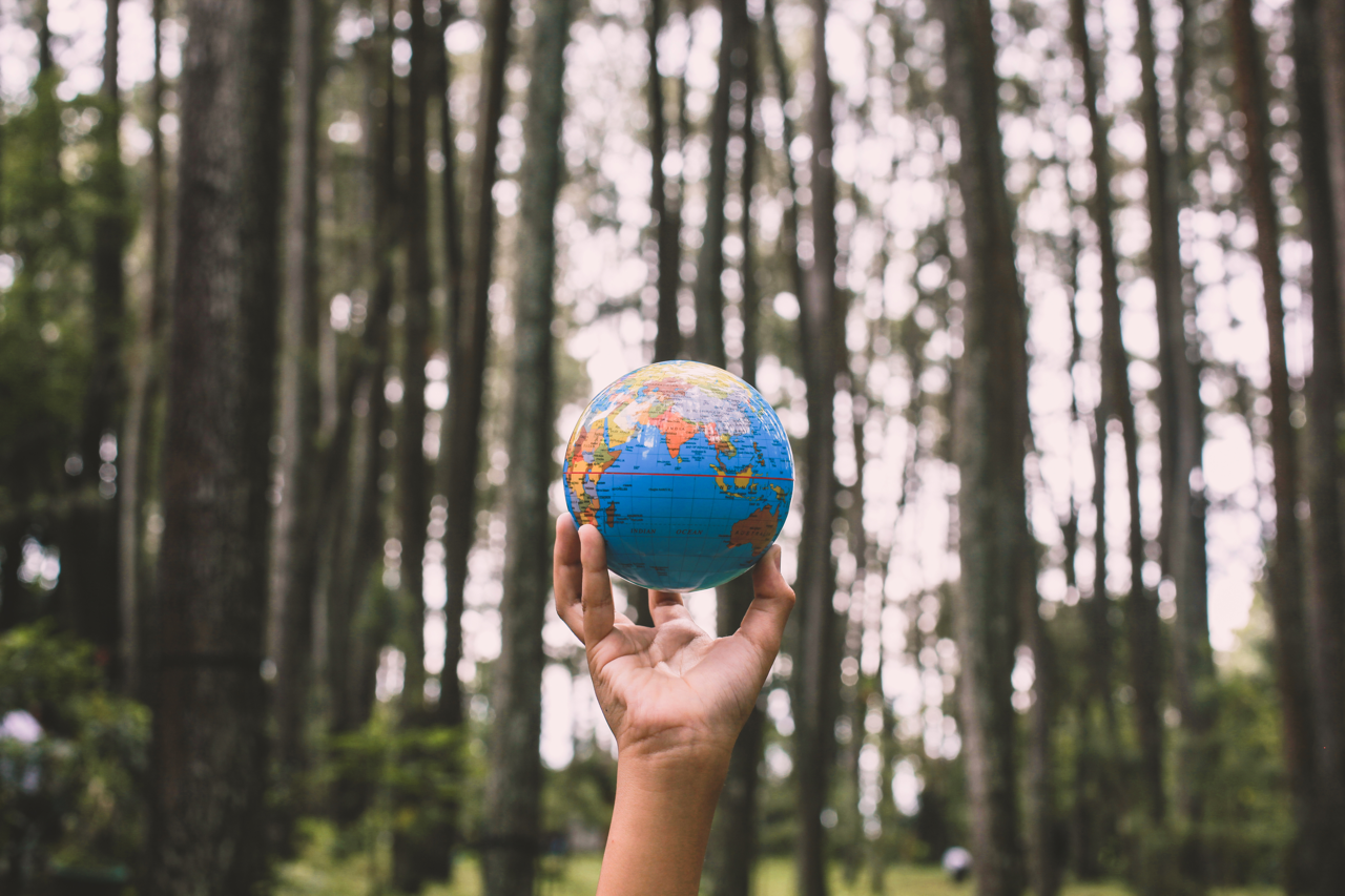 A hand holding up a globe with a backdrop of a forest